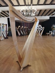 Snarenschema Harp-E
