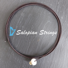 Salopian Strings for Gwennol oct-5 #31 F