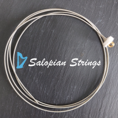 Salopian Strings for Gwennol oct-5 #30 G