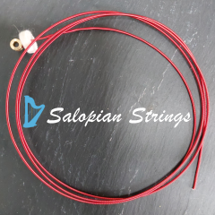 Salopian Strings for Gwennol oct-6 #34 C
