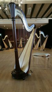 Stringing diagram Salvi 47 string pedal harps Gold Gut