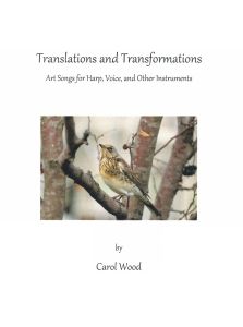 Wood, Carol - Translations and Transformations